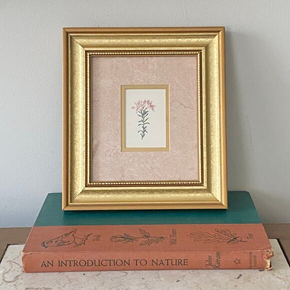 Framed Mini Botanicals Print 6” x 7” Flowers Illustration Gold Frame 8.5” x 9.5” - Picture 1 of 7